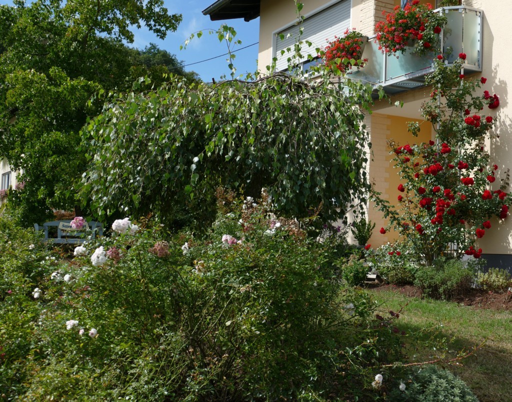 Ansichten von außen und im Garten | Ferienwohnung Kirsch